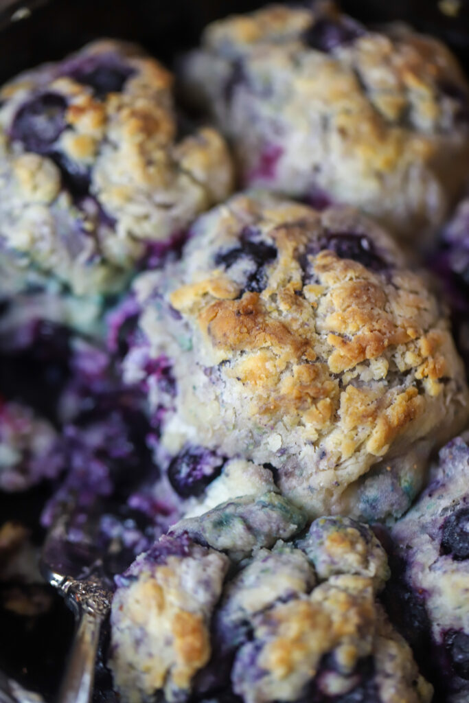 These country blueberry biscuits are literally so delicious and easy to make. I feel like these are really the old-fashioned way to make cathead biscuits. Instead of butter, you'll use shortening then mix together your flour, baking soda, sugar, and of course buttermilk. Knead them all together with some frozen blueberries into balls and bake them in a skillet with some melted butter for about 20 minutes until golden brown. These are the perfect breakfast or perfect for even just a snack. 