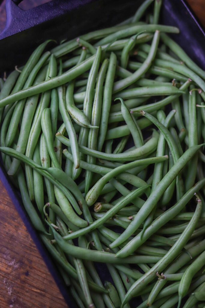 These lemon parmesan green beans are the best side vegetable. They are fresh green beans topped with garlic, butter, lemon, and grated parmesan cheese. Just dump them all in a dish and bake for about 20-25 minutes. So simple and the best side dish. 